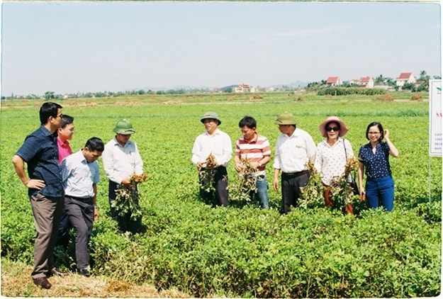 nong duoc