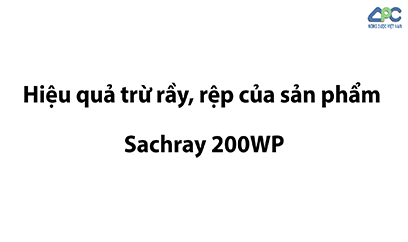 Trừ rầy rệp gây hại cà phê
