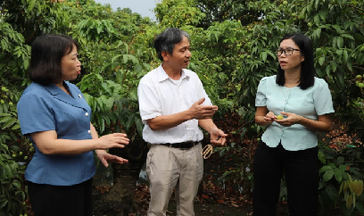 Hải Phòng dự kiến xuất khẩu hơn 27.000 tấn vải năm 2026