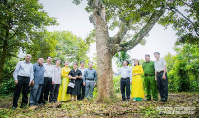 Vườn cà phê trăm tuổi ở Đắk Lắk