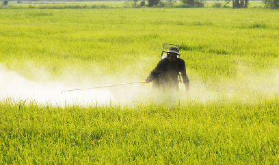 Không để xảy ra 'dịch chồng dịch'