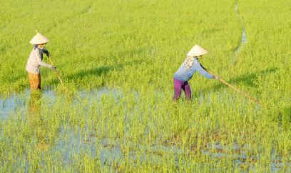 Chủ động ứng phó xâm nhập mặn cao điểm ở ĐBSCL