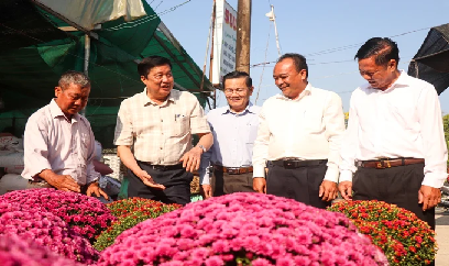 Lo thị trường ảm đạm, nông dân giảm số lượng hoa Tết