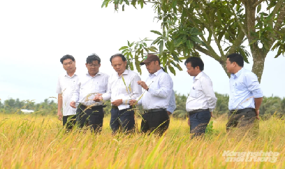 Thăm đồng bảo vệ sản xuất trước nguy cơ thiên tai, dịch hại