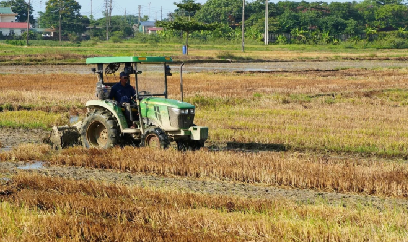 Huế bố trí vụ hè thu phù hợp để giảm rủi ro thiên tai