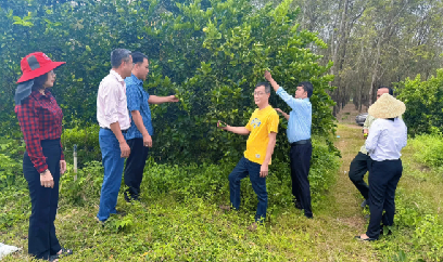 Thăm đồng bàn giải pháp phòng trừ sâu bệnh giai đoạn chuyển mùa