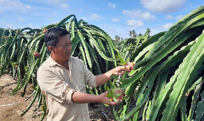 Linh động mô hình sản xuất hiệu quả để nâng cao cuộc sống