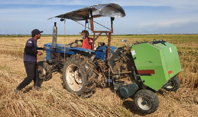 Thu gom rơm rạ bán 5,5 triệu đồng/ha, đắt khách như tôm tươi
