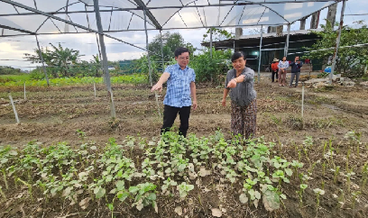 Khẩn trương thống kê, hỗ trợ khôi phục sản xuất trồng trọt sau lũ