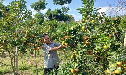 Những người mở lối trên đồi cằn xứ Thanh