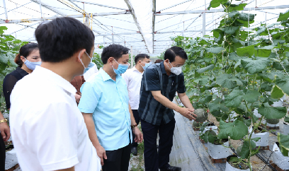 Rà soát, chuyển đổi 6.000 ha đất lúa kém hiệu quả