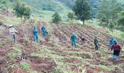Tu Mơ Rông phát động chiến dịch 20 ngày đêm trồng cà phê
