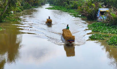 Chuỗi giá trị rơm rạ tại ĐBSCL có thể đạt hơn 6.600 tỷ đồng/năm