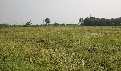 'Vùng đỏ' Đắk Lắk mở cửa giúp nông dân tiêu thụ nông sản