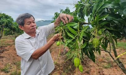 Khánh Hòa giảm 15% phát thải trồng trọt, thúc đẩy nông nghiệp sinh thái