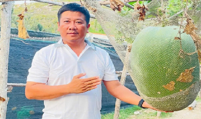Giống bí đao khổng lồ bén duyên đất đảo