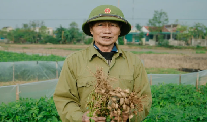 Phổ cập giống lạc chất lượng cao cho vùng khô hạn