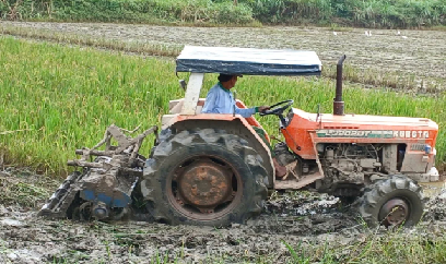 ‘Căn cơ’ vào vụ đông xuân với quyết tâm giành thắng lợi