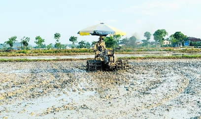 Thời vụ gấp gáp, nông dân Hà Tĩnh cấp tập làm đất gieo lúa hè thu
