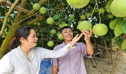 Mã số vùng trồng ‘mở cửa’ cho nông sản ra thế giới