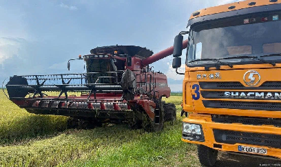 Giống lúa hữu nghị Việt Nam – Cuba