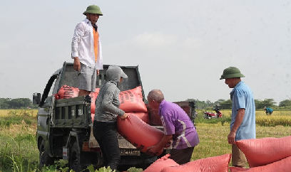 Mỹ mãn vụ xuân xứ Nghệ
