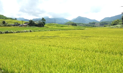 Bình Liêu hết khát nhờ hồ chứa Nà Mo