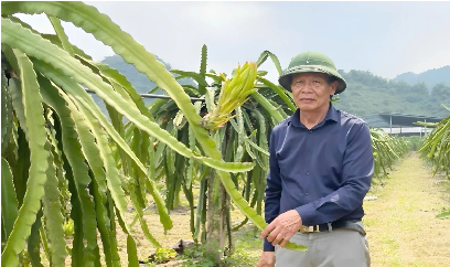 Hiến kế phát triển bền vững cây ăn quả Sơn La