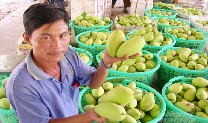 Khôi phục ngành hàng rau quả sau dịch bệnh Covid-19