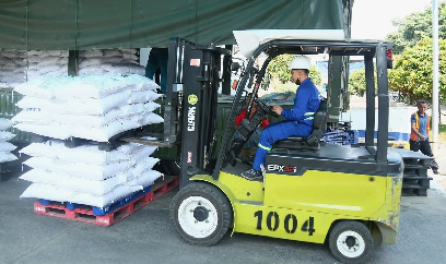 Sản lượng mía đường Nghệ An tăng 20% sau 5 năm