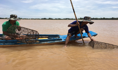 Xả đón lũ hơn 12.500 ha vụ thu đông