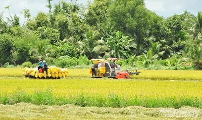 ĐBSCL chủ động ứng phó lũ lớn, bảo vệ an toàn lúa thu đông