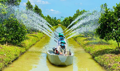 Đồng Tháp tiên phong tái cơ cấu nông nghiệp, nâng thu nhập cho nông dân