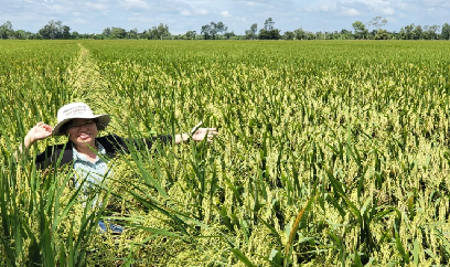 Quản lý giống cây trồng nông nghiệp - tham khảo từ Trung Quốc