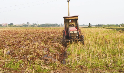 Trời khô hanh, thuận lợi cày ải chuẩn bị vụ xuân