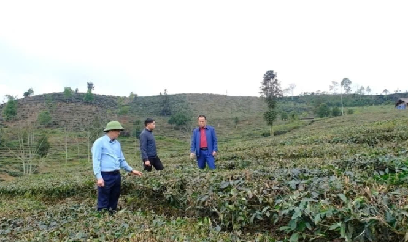 Vùng cao Mường Khương rộn ràng sản xuất đầu xuân