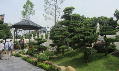 Xây được nhà 'sành điệu' từ nghề trồng và kinh doanh cây cảnh