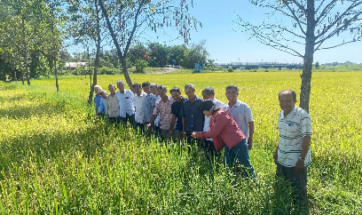 Nông dân Huế hào hứng tham gia mô hình quản lý sức khỏe cây trồng