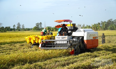 Xuất khẩu gạo Sóc Trăng lập kỷ lục